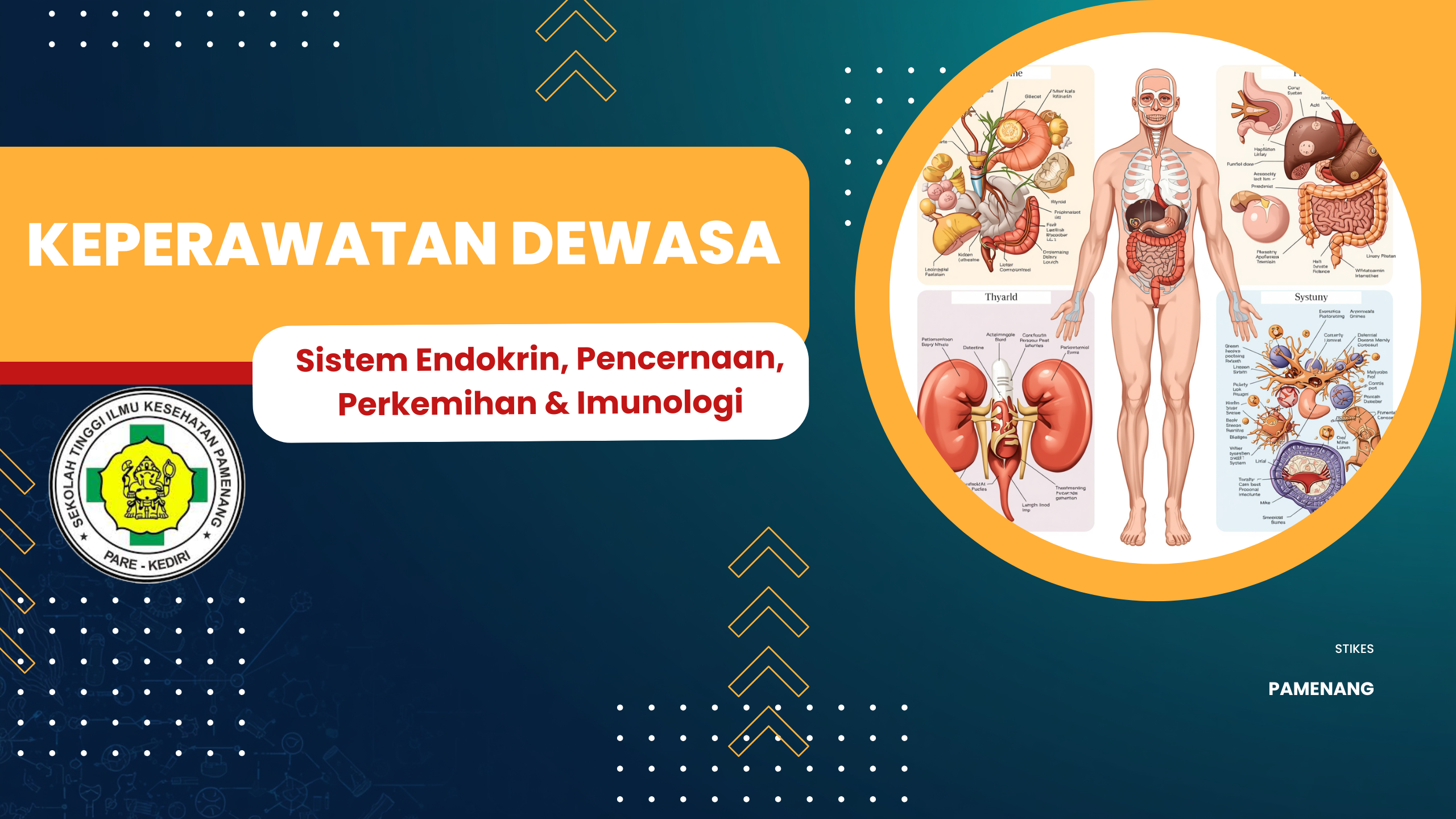 14241401-Keperawatan Dewasa sistem endokrin, pencernaan, perkemihan dan imunologi (S1-Keperawatan-Reg)